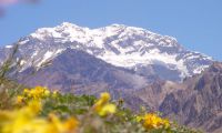 Aconcagua